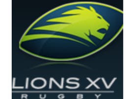 LIONS XV - 20%
