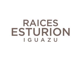 Hotel Raices Esturion - 35%