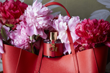Descuentos en RP LUXURY con Club LA NACION